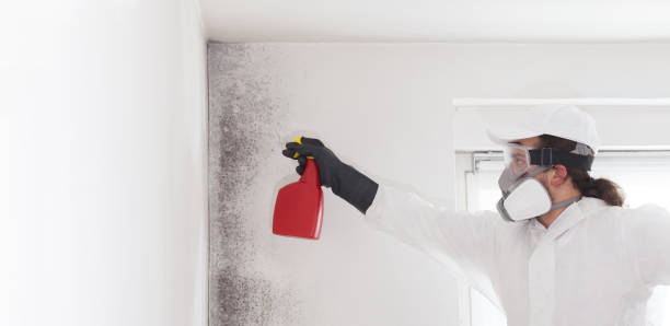 Crawl Space Mold Removal in Norwood, OK